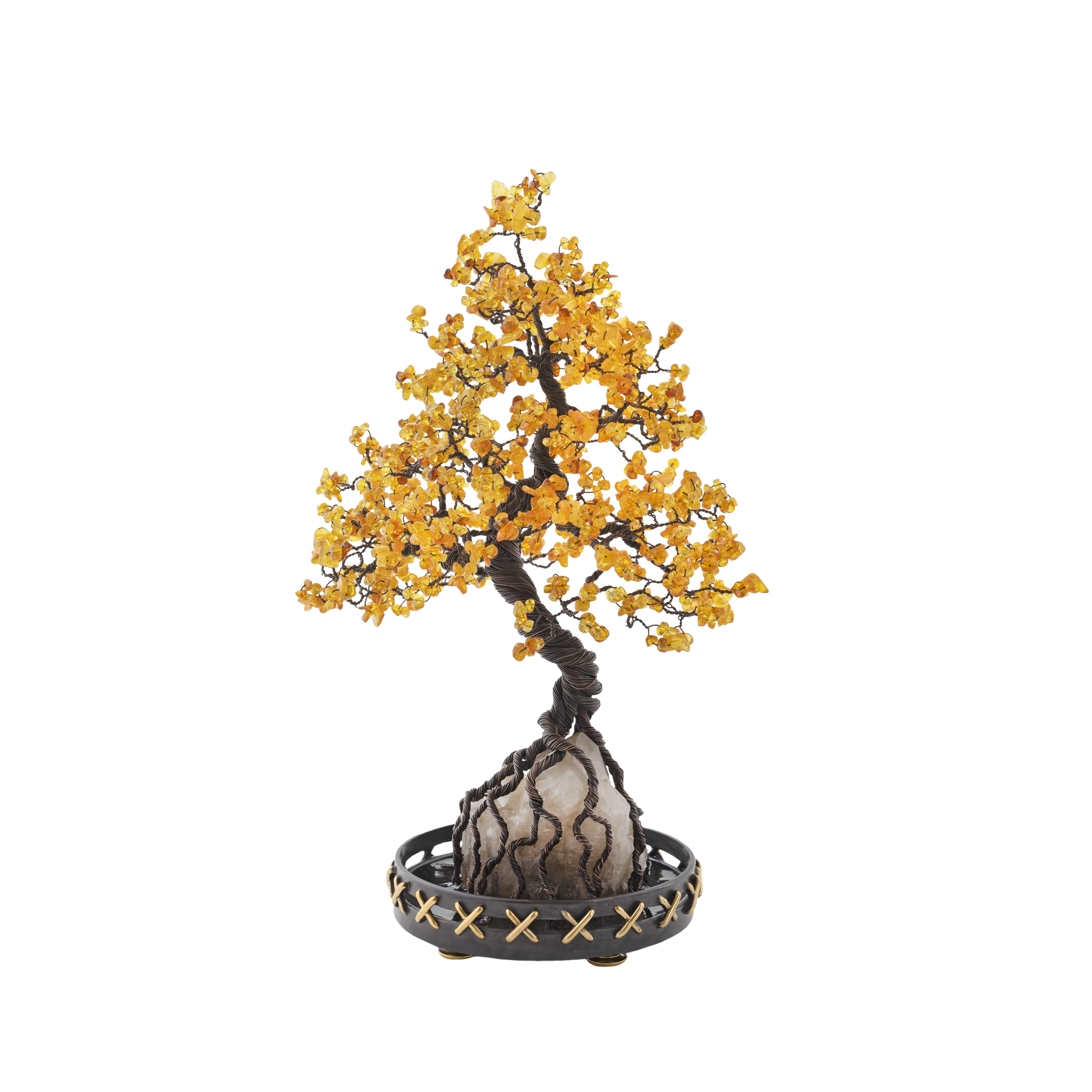 Kyoto - Bonsai Katsura