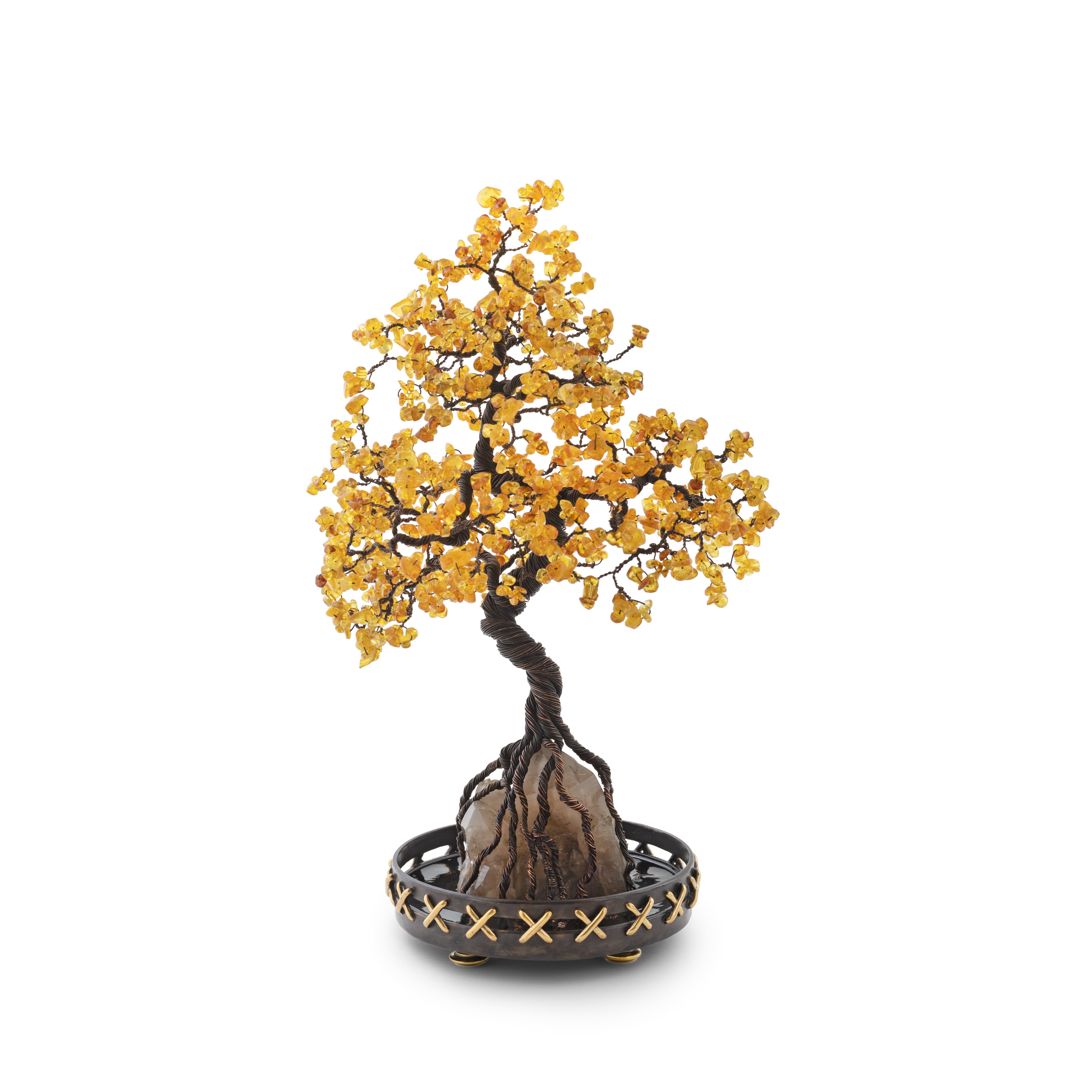 Kyoto - Bonsai Katsura 02