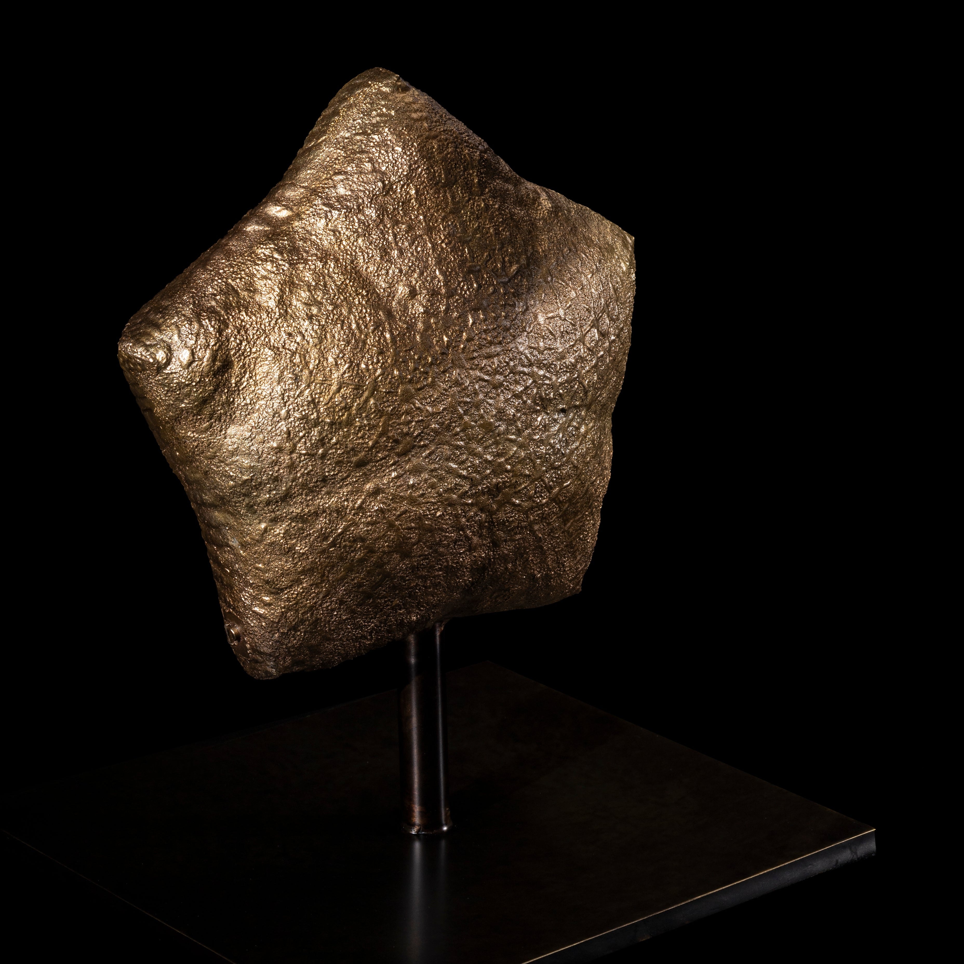 Les Interdits - Etoile de mer