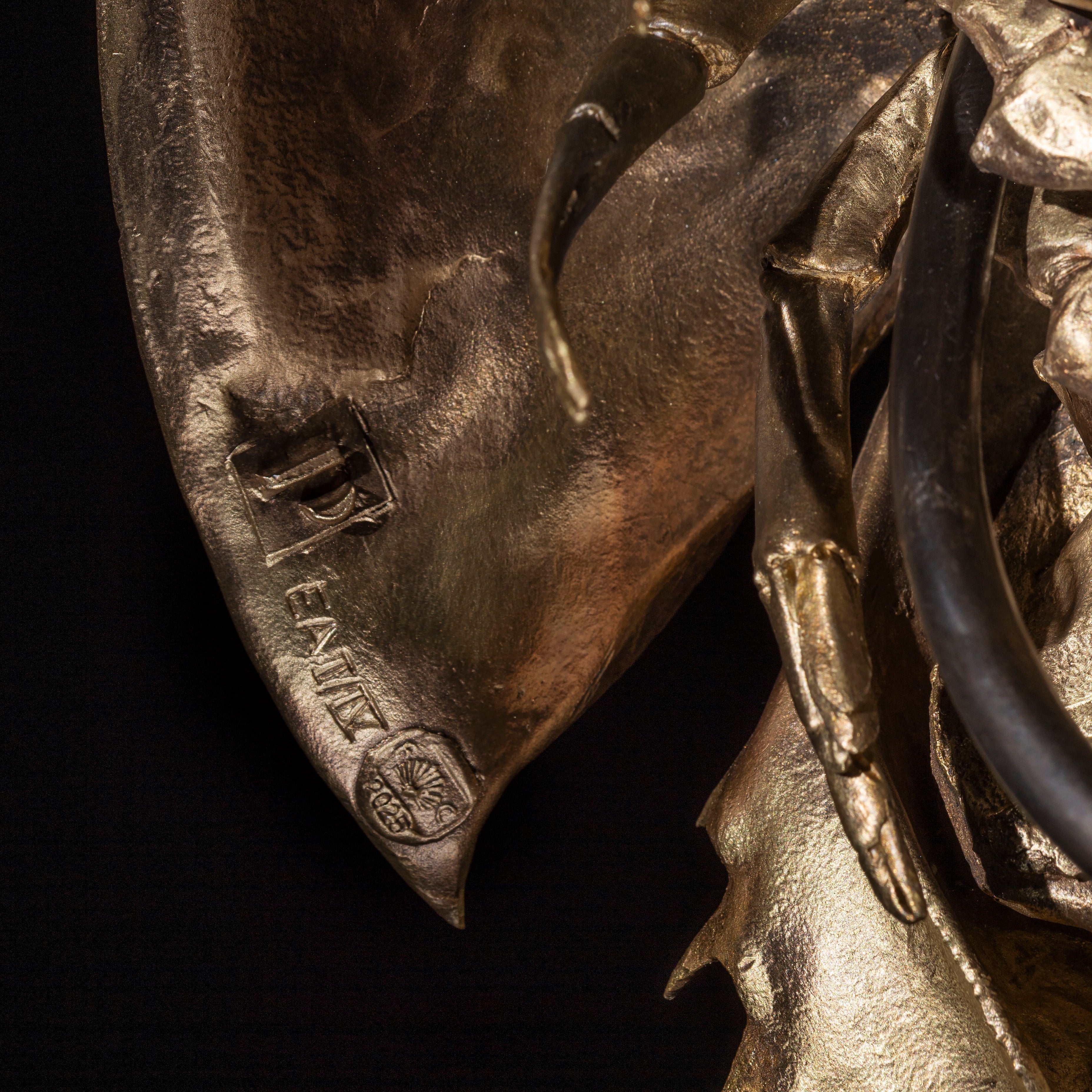 Les Interdits - Grande Limule