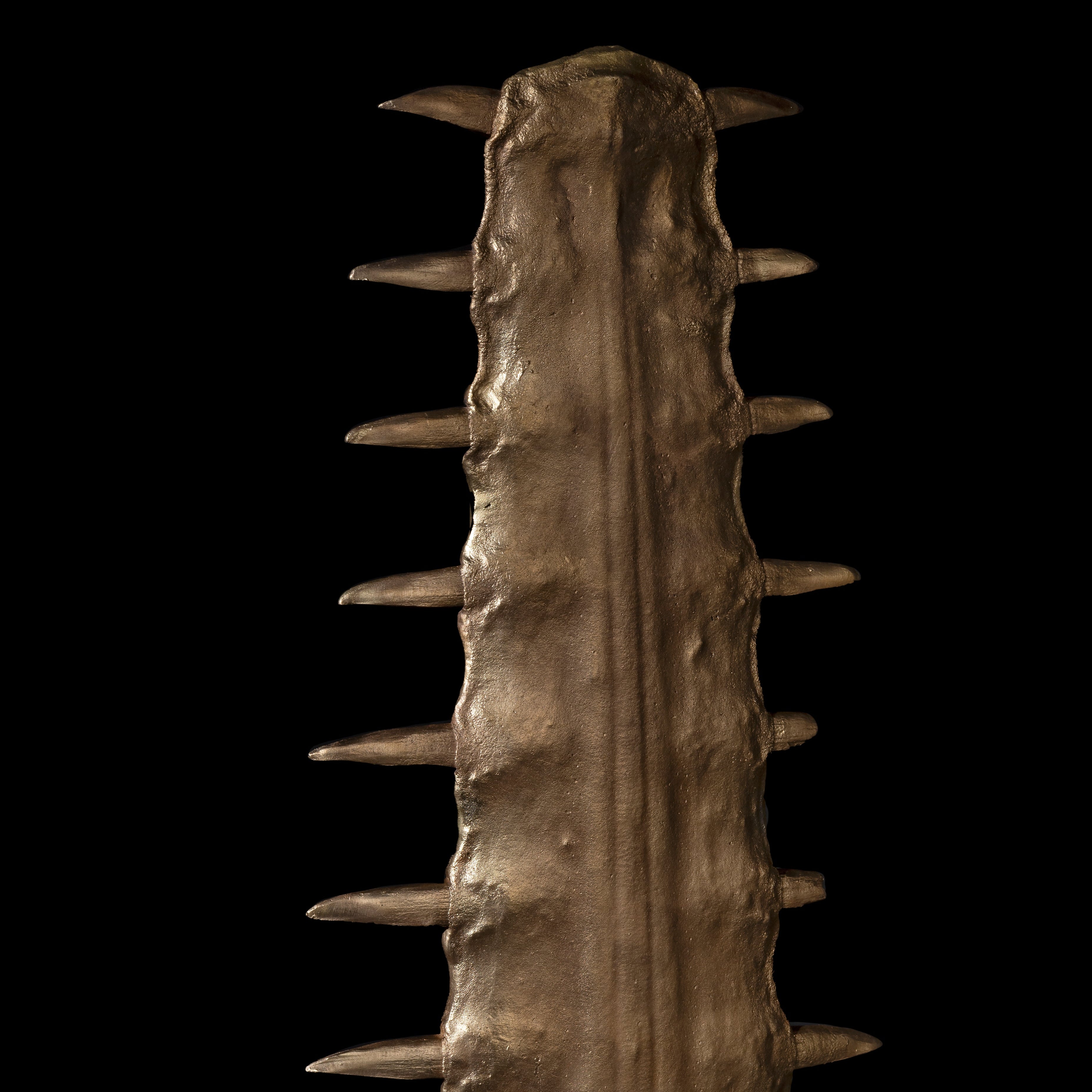 Les Interdits - Rostre