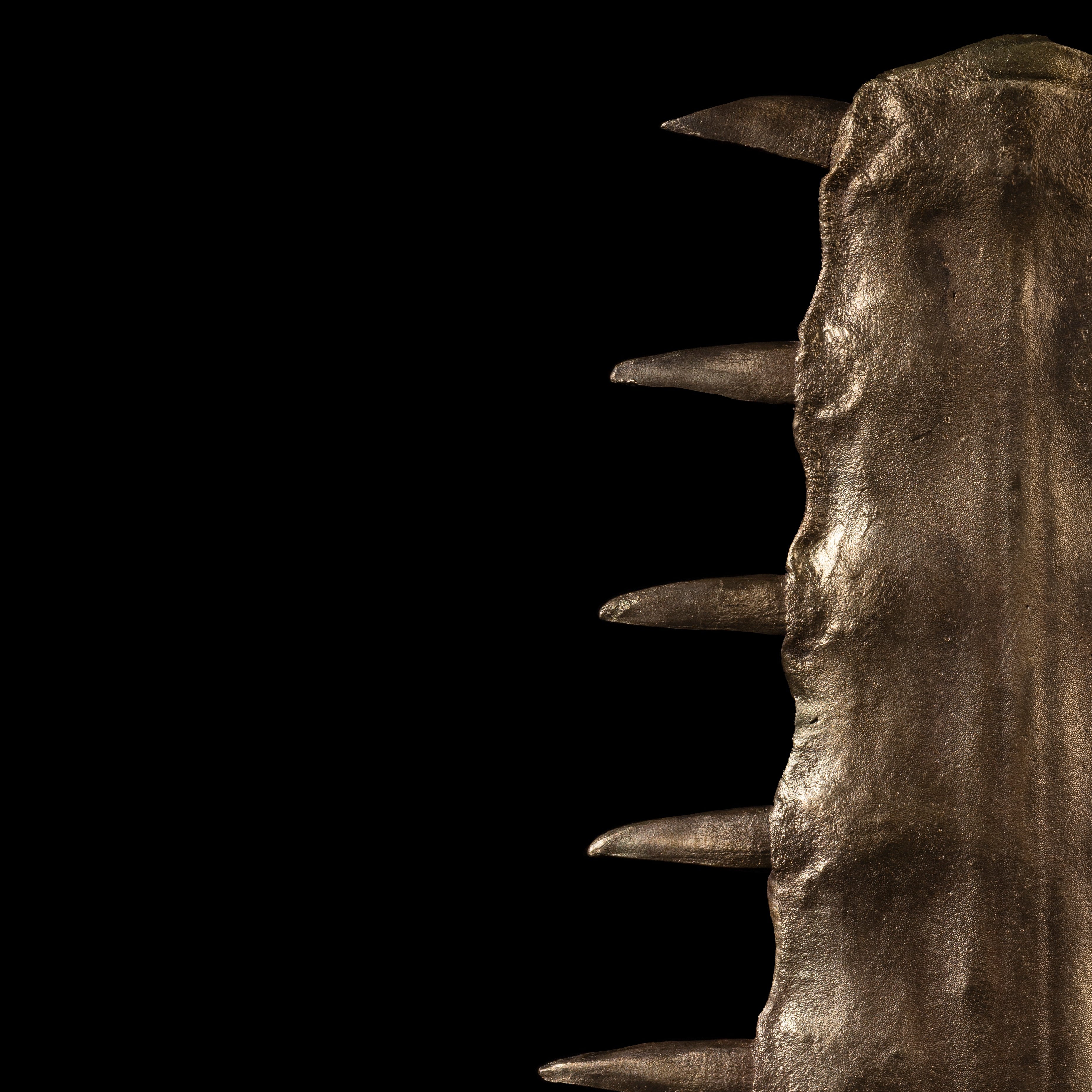 Les Interdits - Rostre