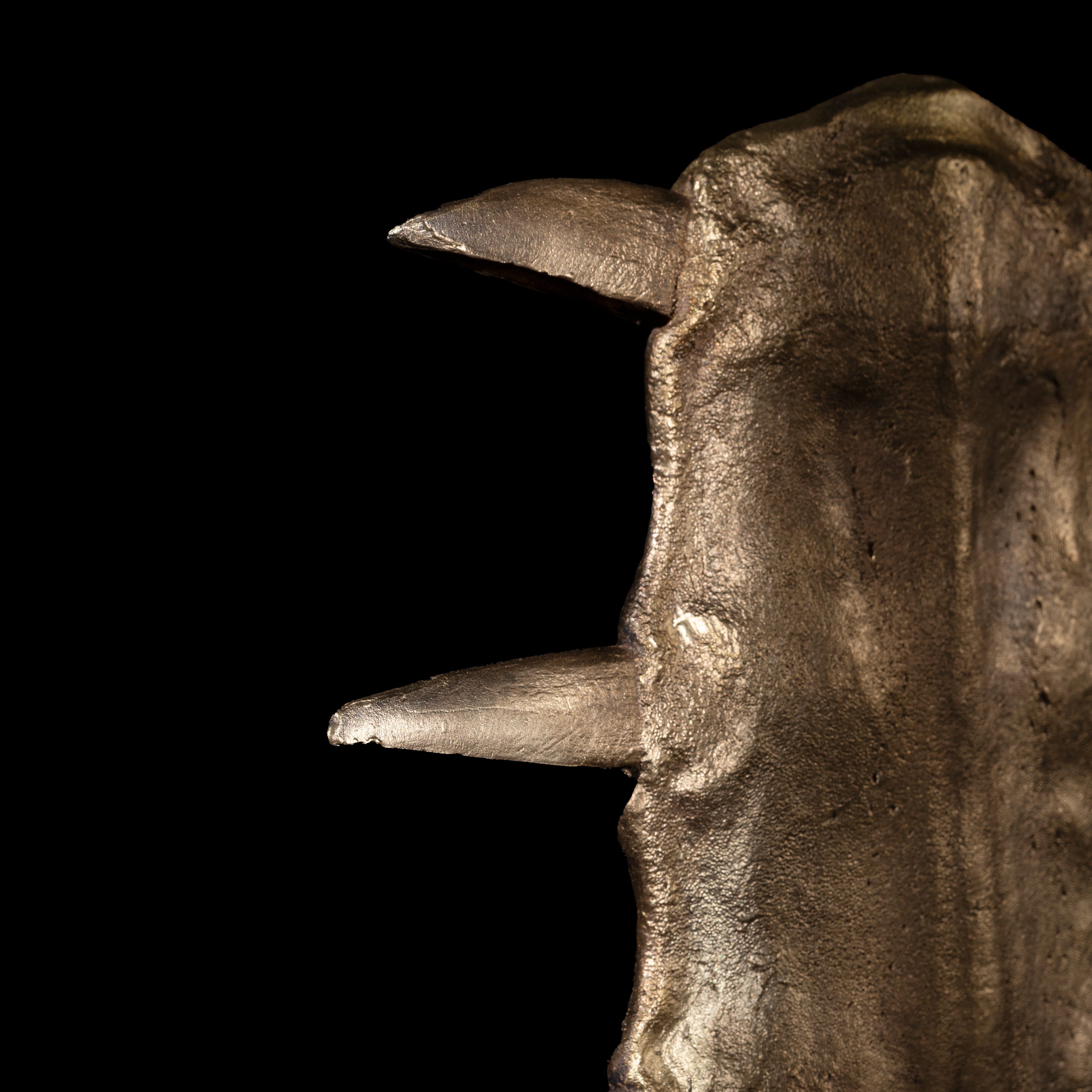 Les Interdits - Rostre