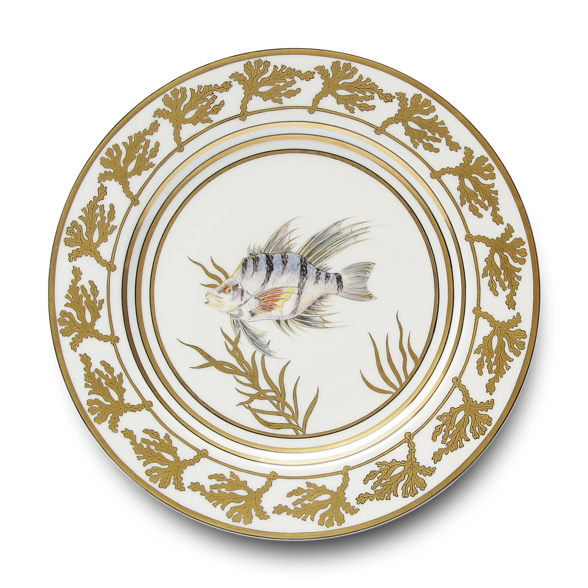 Or des Mers - Assiette de présentation 06