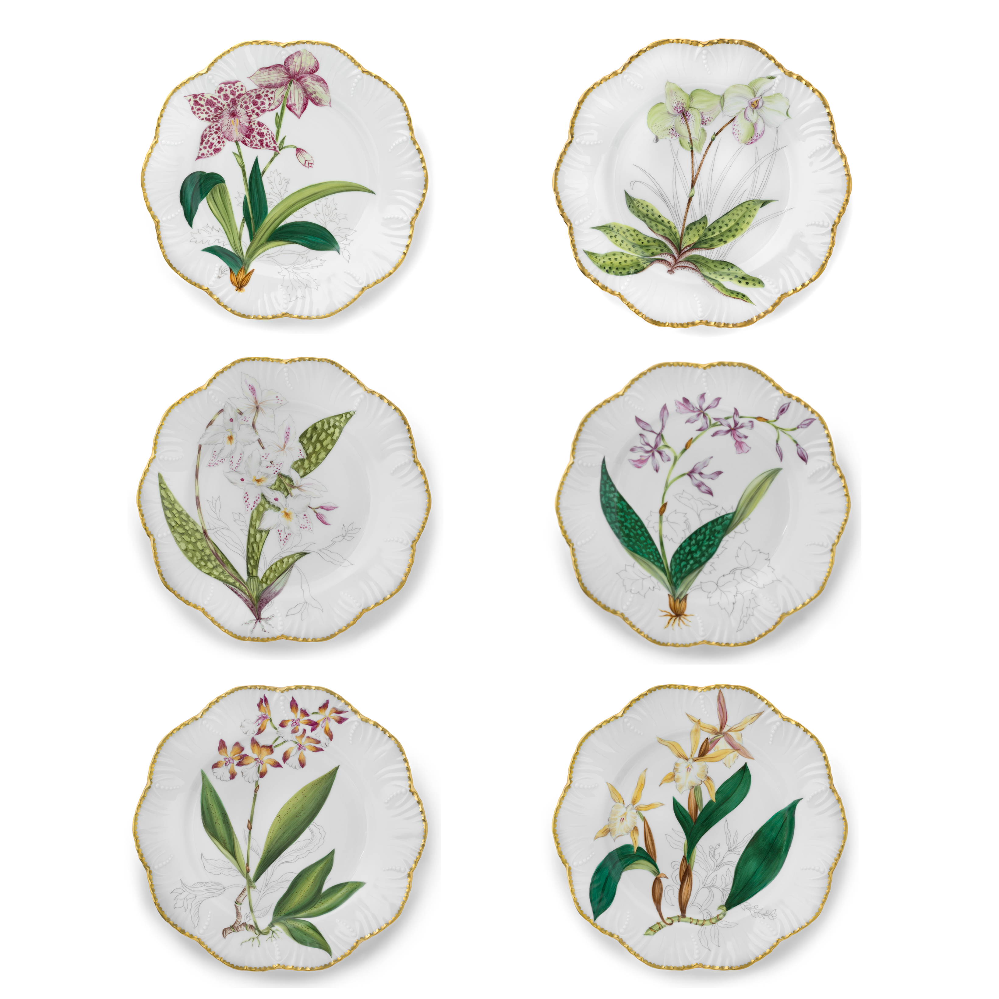 Histoires d'Orchidées - Set de 6 assiettes plates
