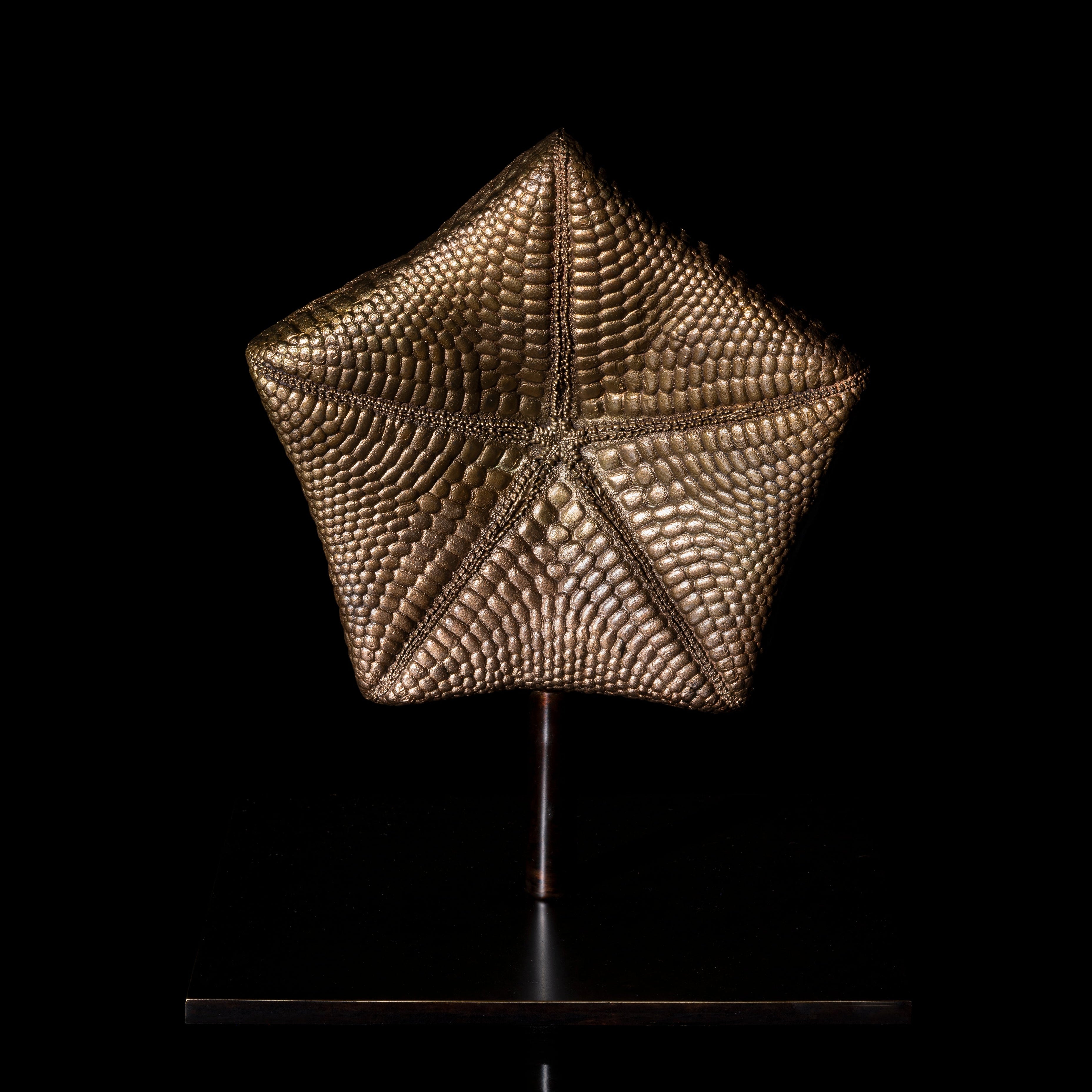 Les Interdits - Etoile de mer