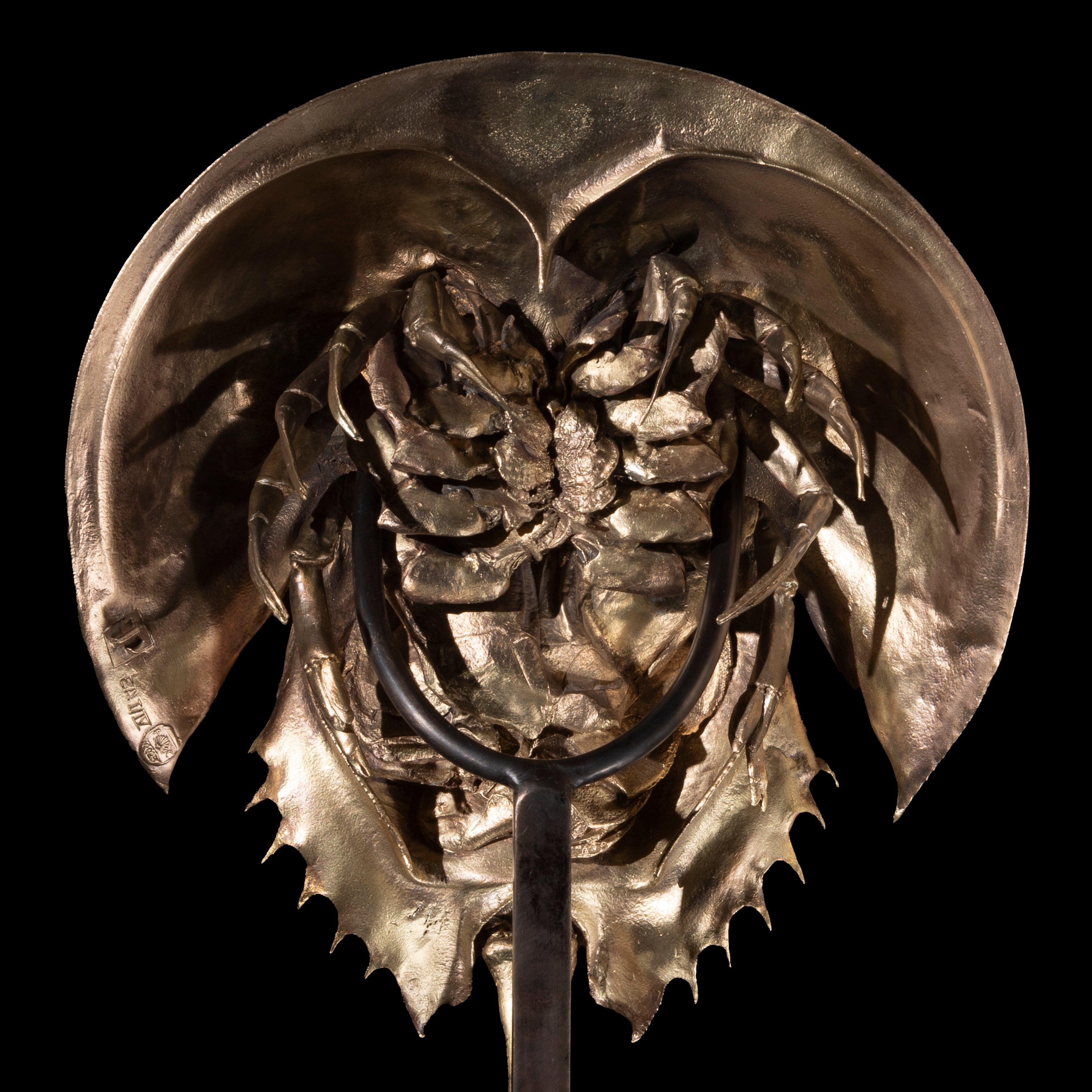 Les Interdits - Grande Limule