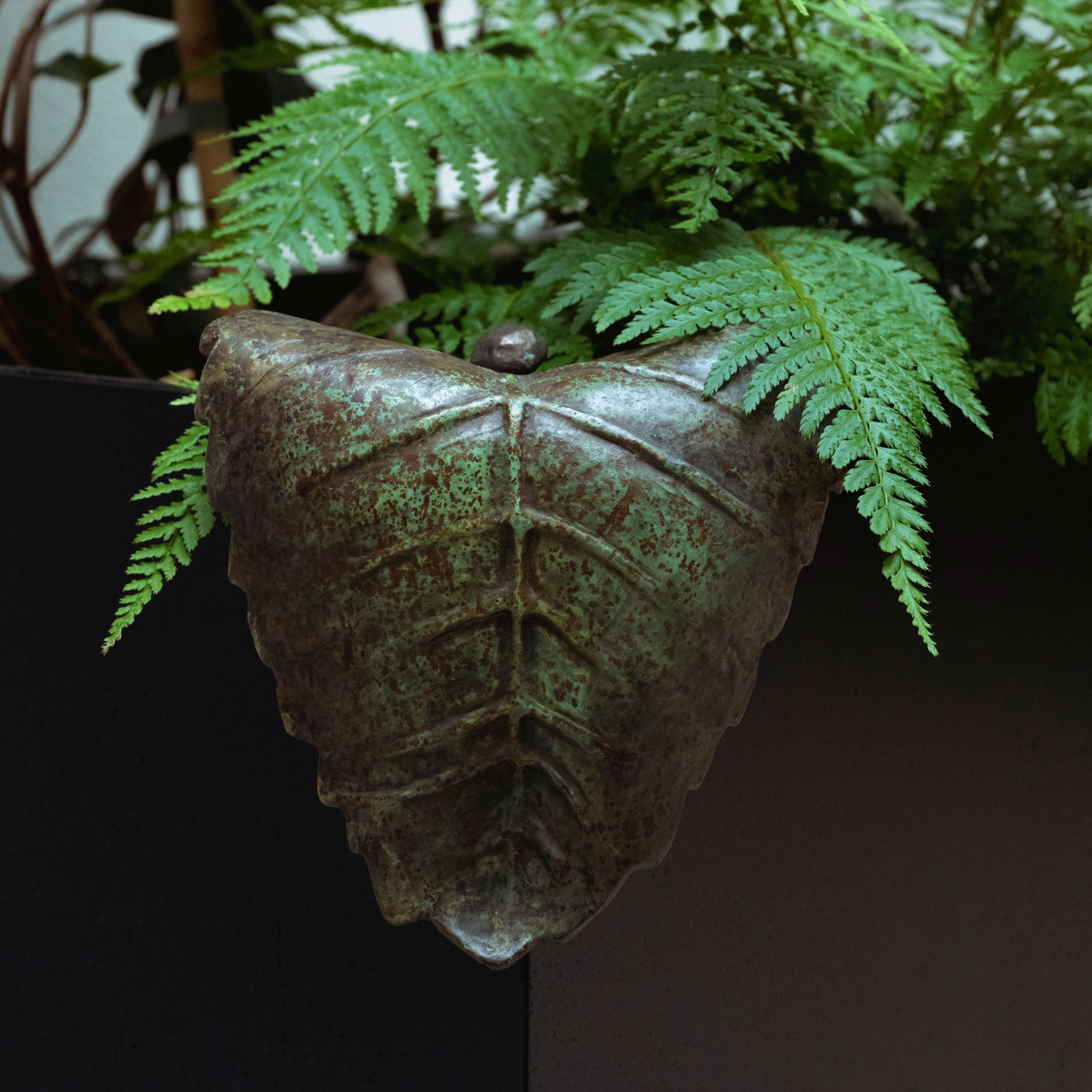 Feuille en bronze