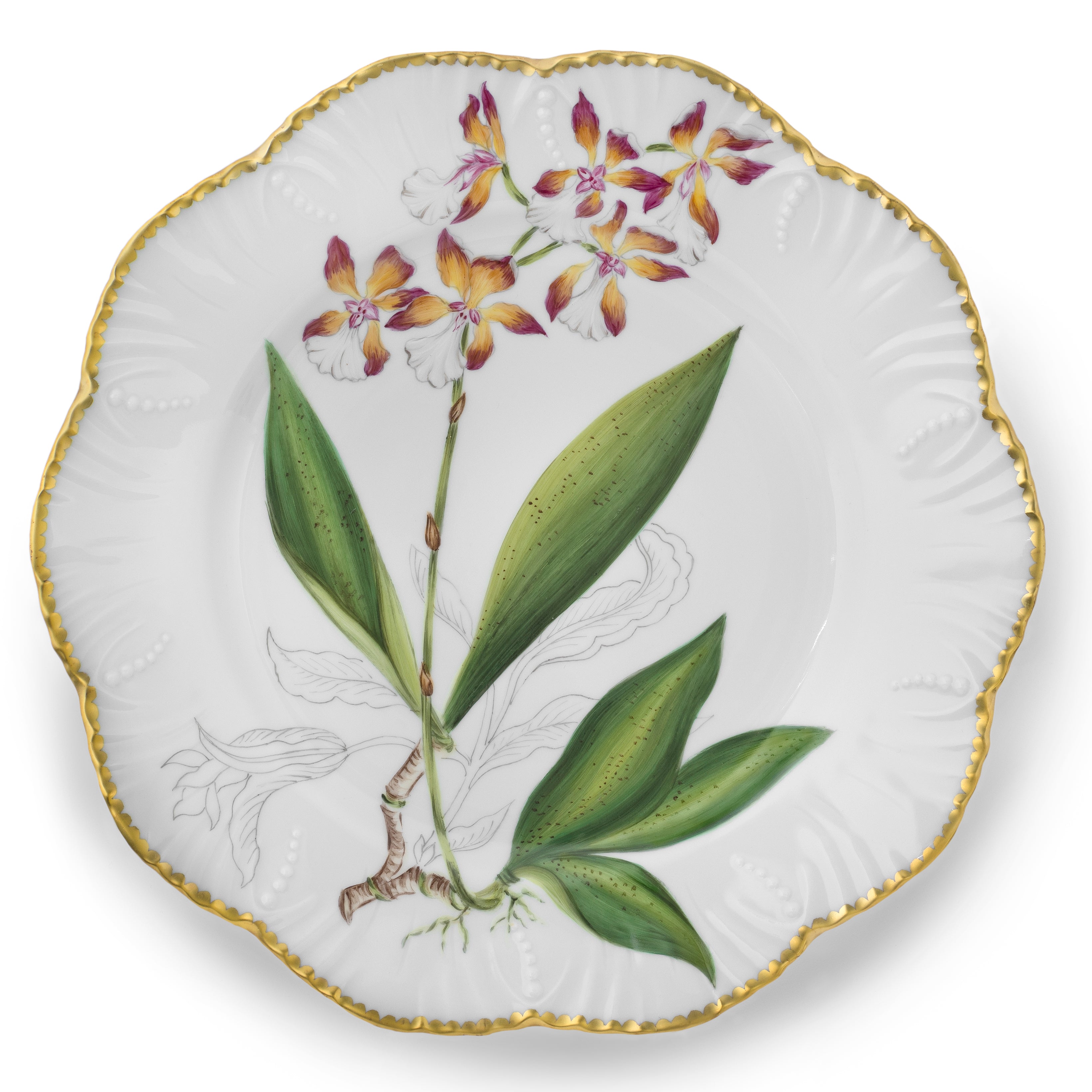 Histoires d'Orchidées - Set of 6 dinner plates

