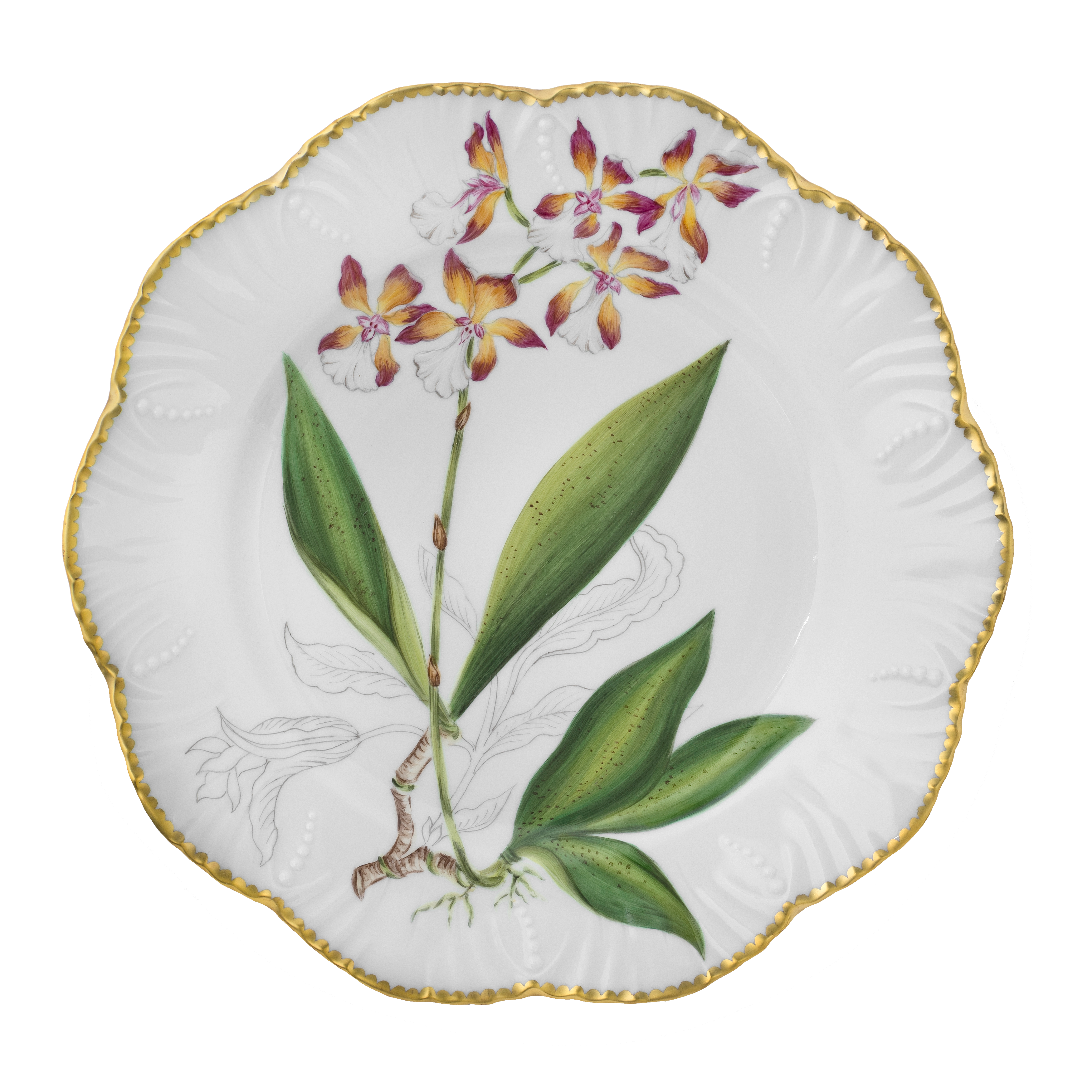 Histoires d'Orchidées - Set de 6 assiettes plates