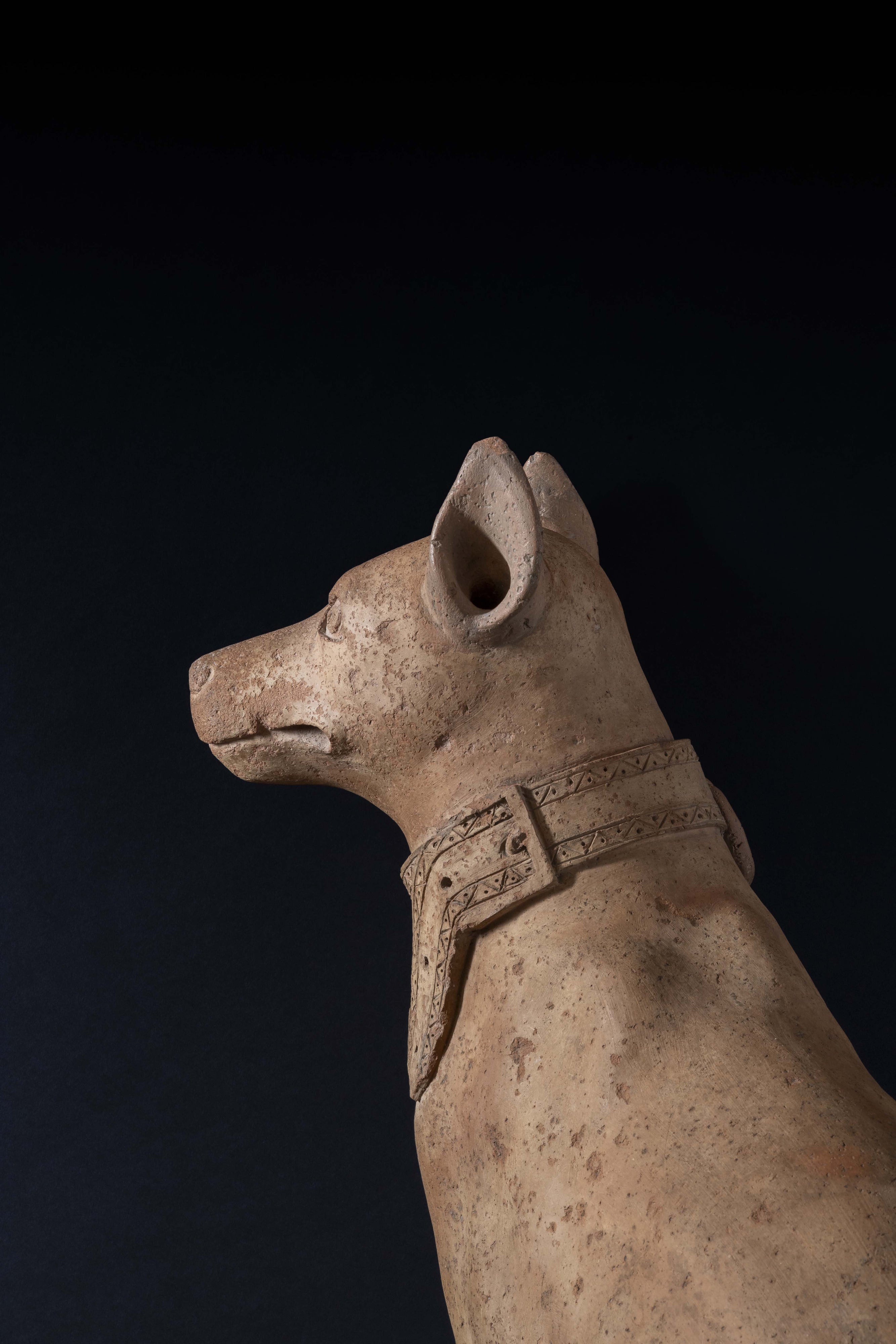 Cercle de Romolo Ferrucci del Tadda (1544-1621), Paire de chiens molosses assis